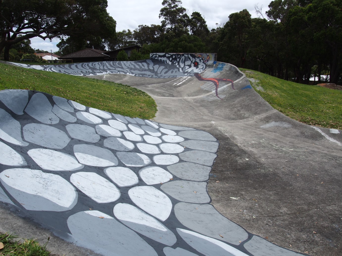 Snake run skateboard park