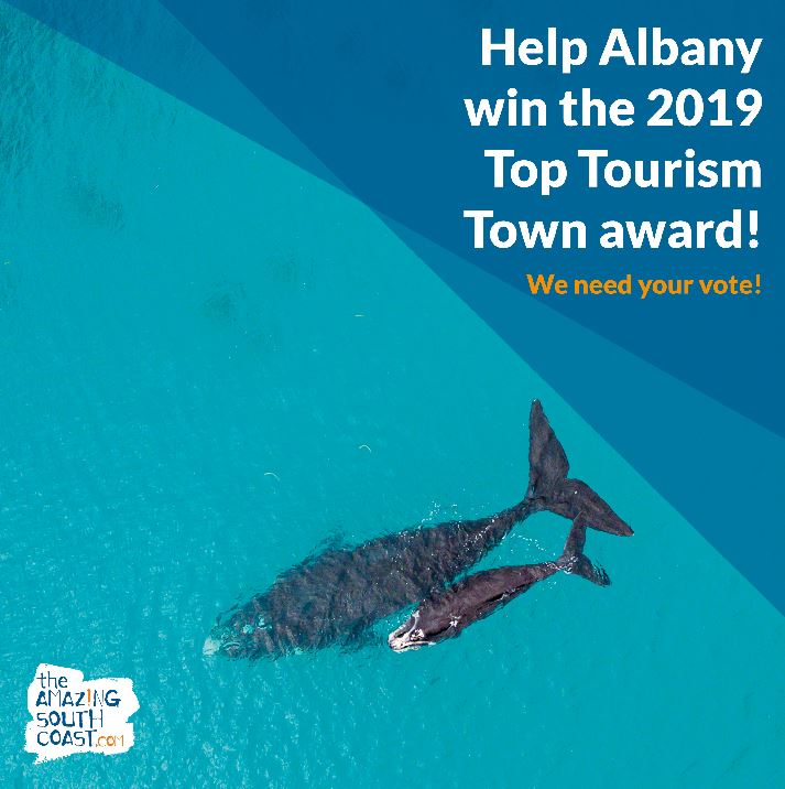 award submission for Albany to win the title of the Top Tourism Town