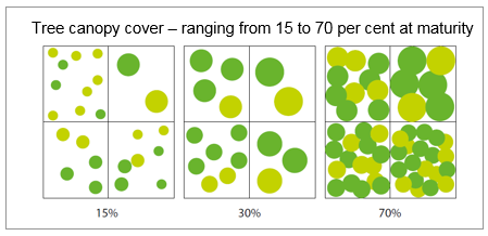 Tree Canopy Cover