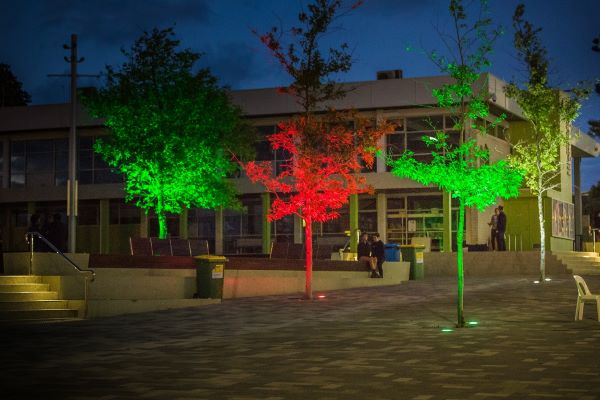 CBD Precinct Lights Image