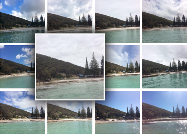 City of Albany Photo Beach Monitoring Image