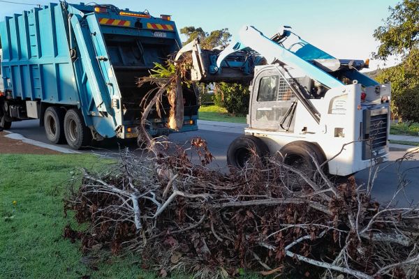 Bulk Waste Collection Image