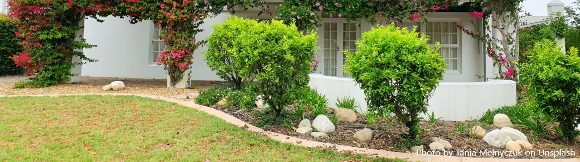 House garden