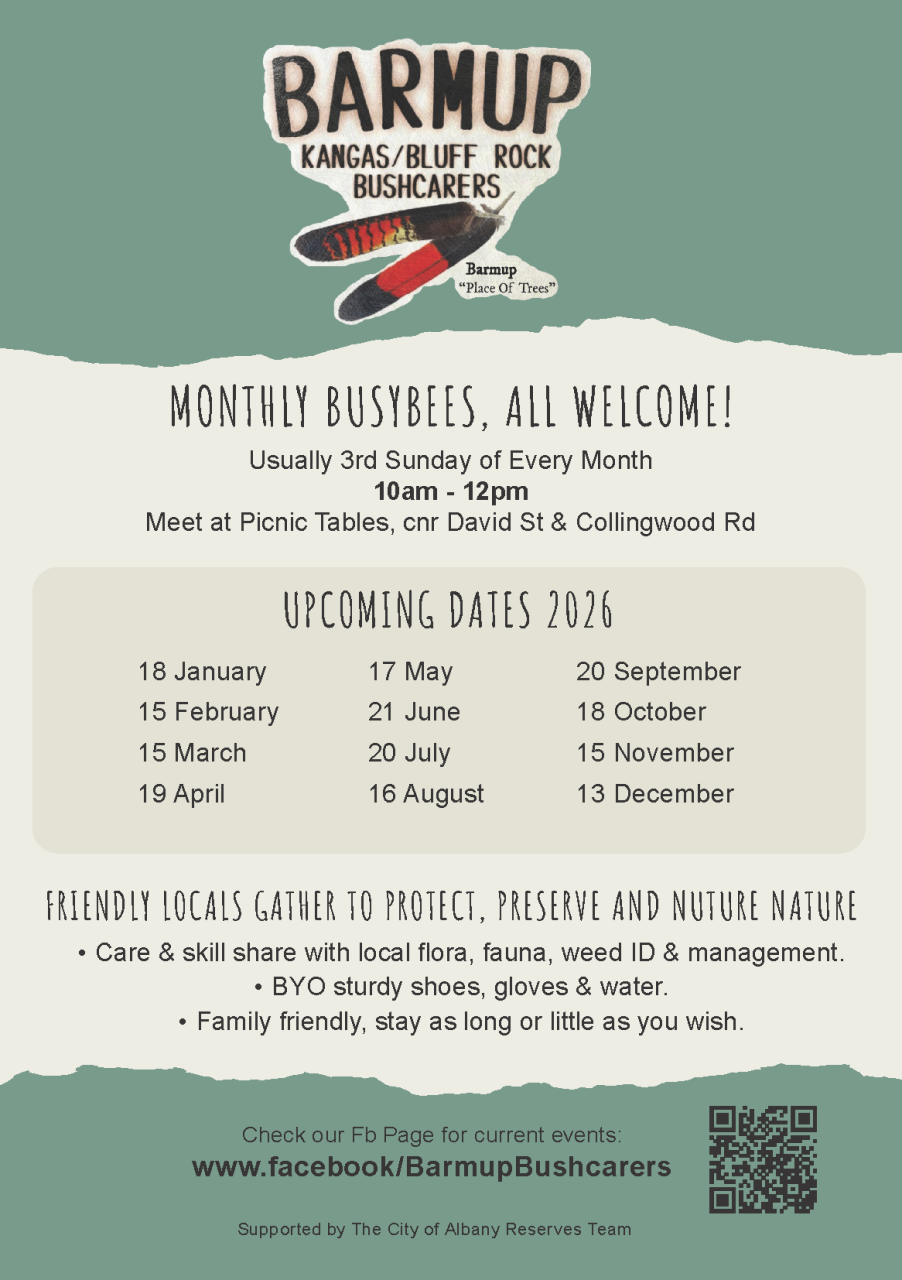 Barmup Kangas/Bluff Rock Bushcarers Busy Bees