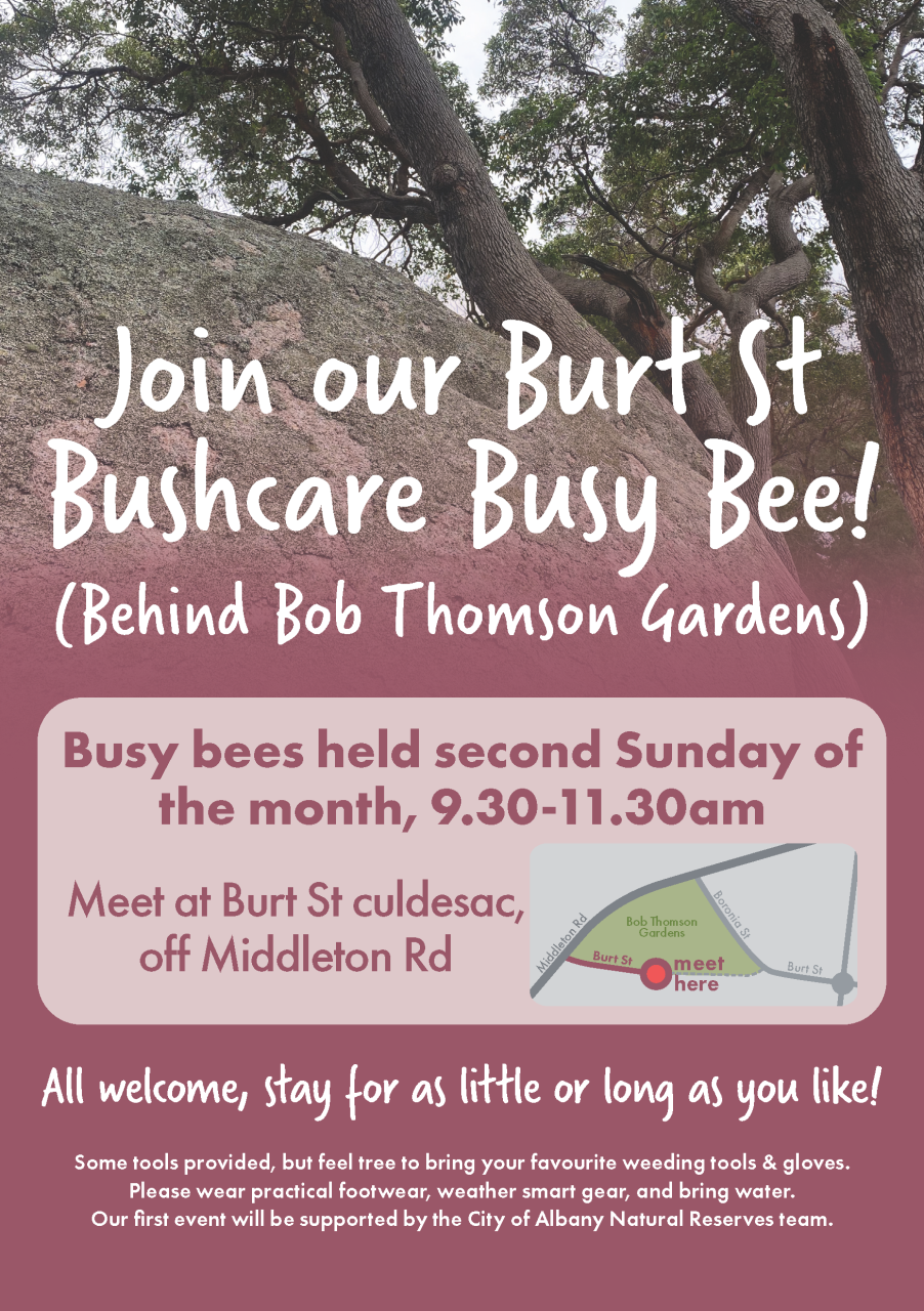 Burt St Bushcare Busy Bee