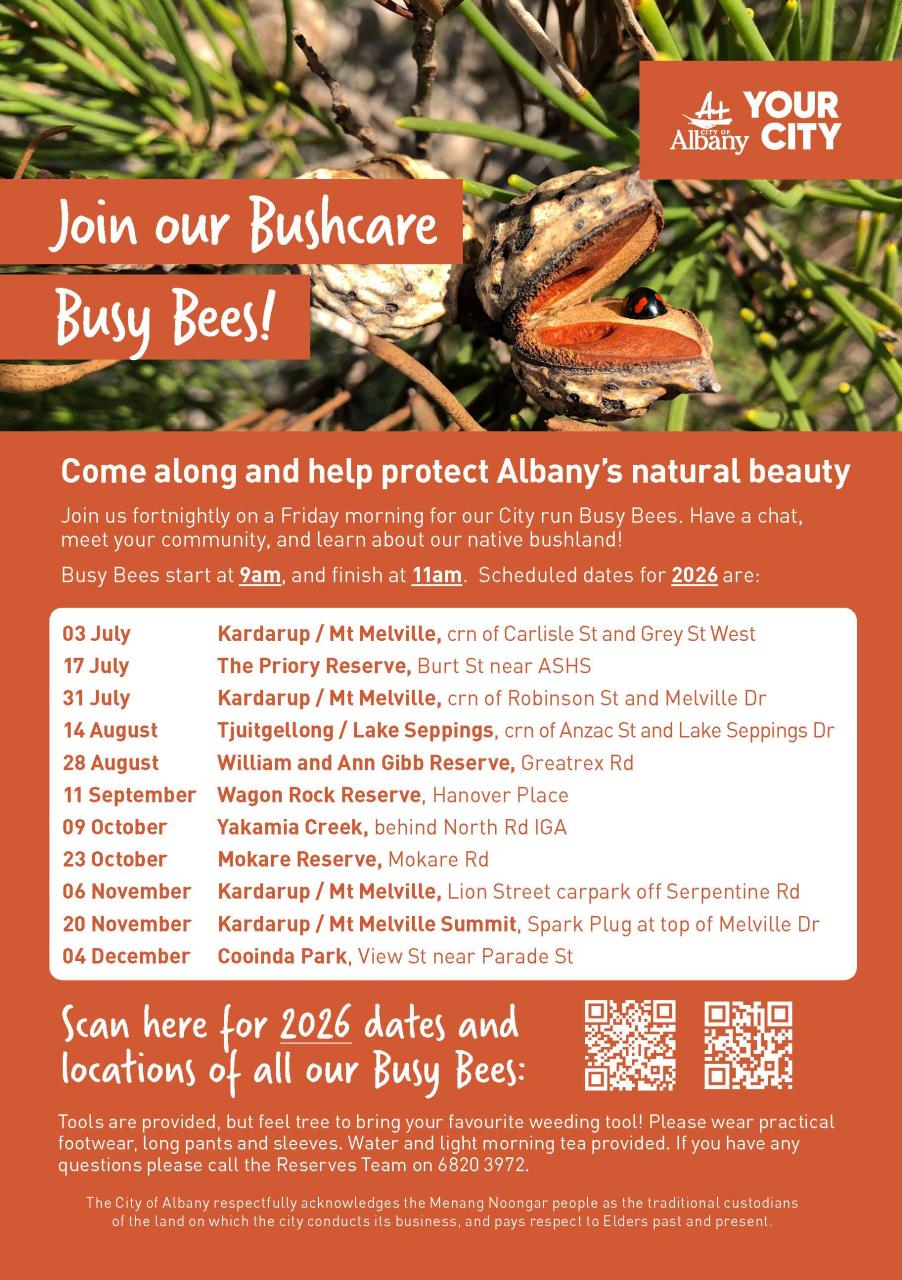 Bushcare Busy Bees