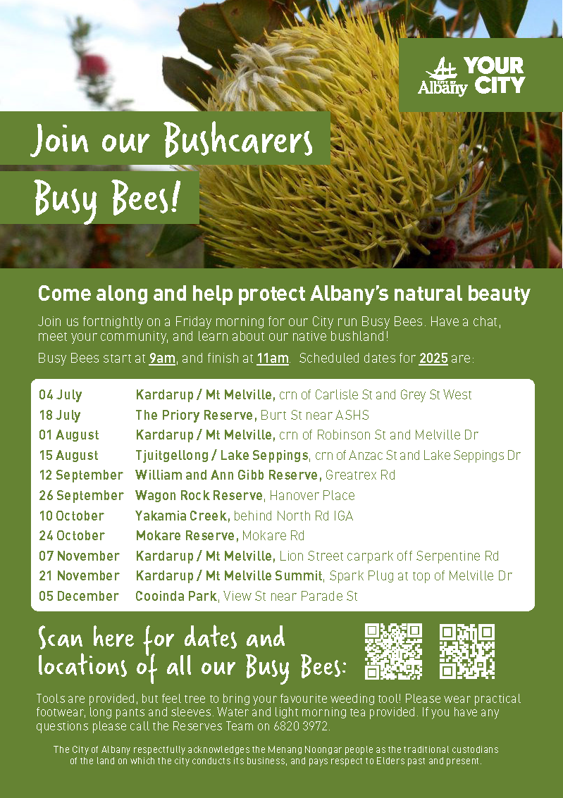Bushcarers Busy Bees