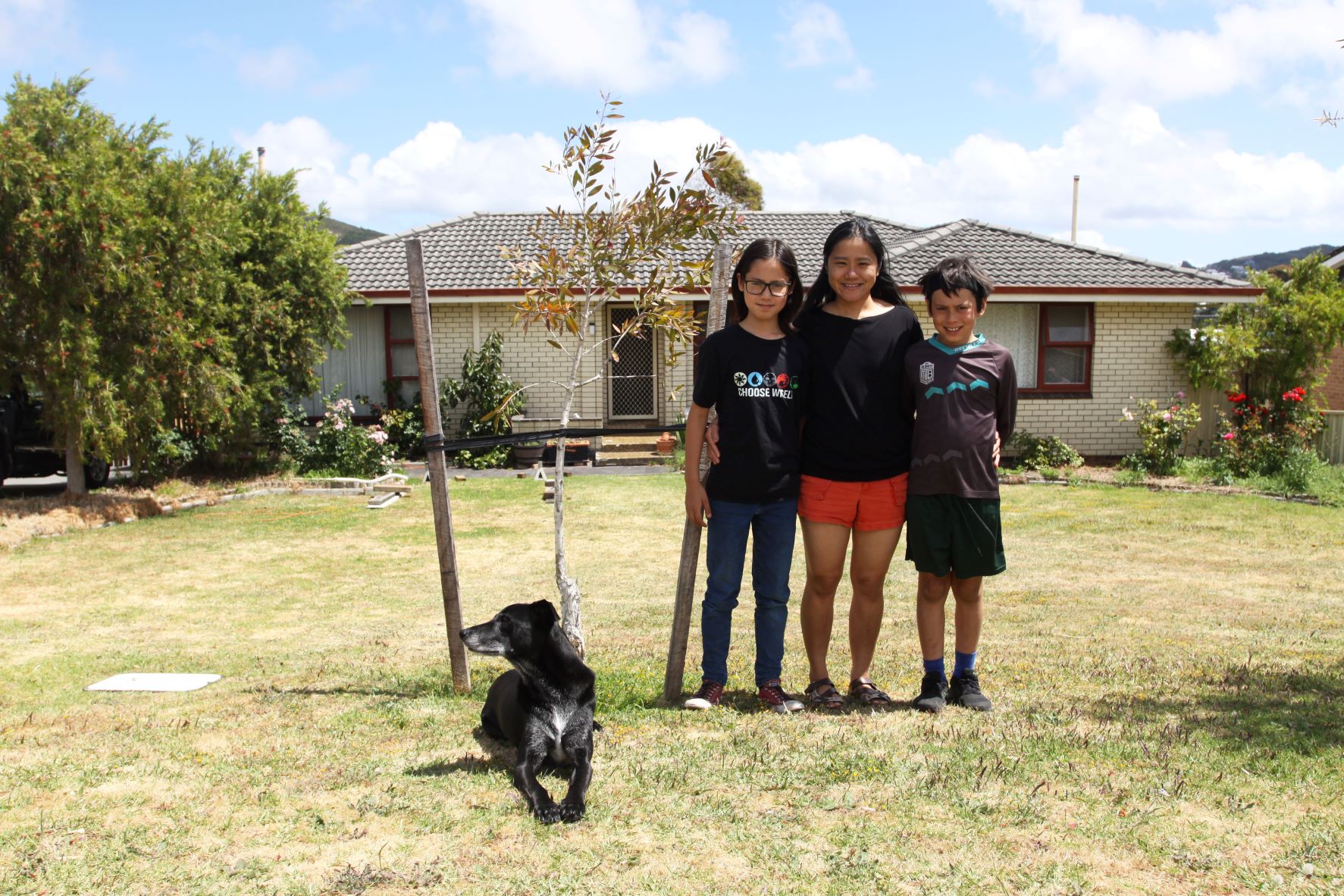 City's Urban Tree Inventory grows
