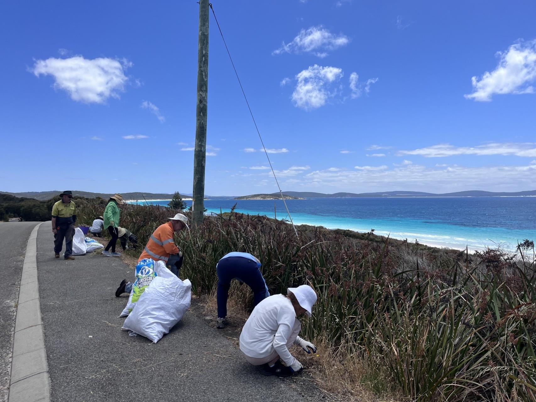 Tidy Town Awards feature Albany finalists