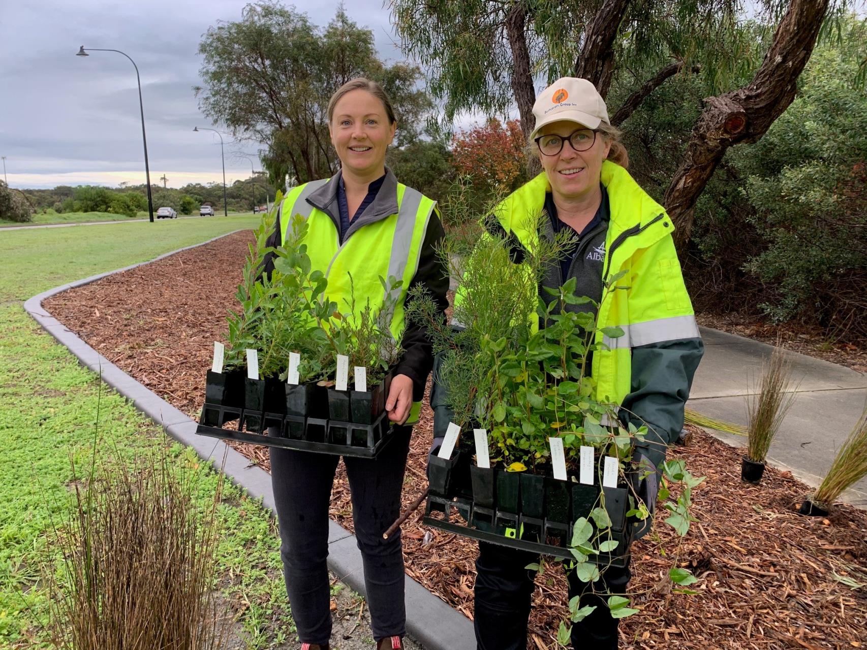 Urban greening project supports possums and people
