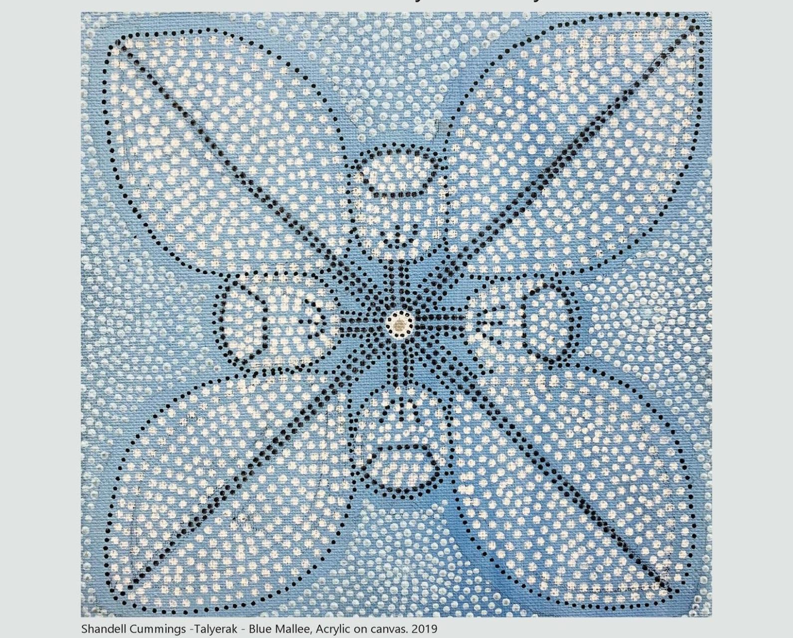Wangee Boodja celebrates First Nation voices through art