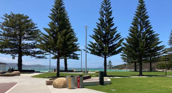 Quotes & Tenders