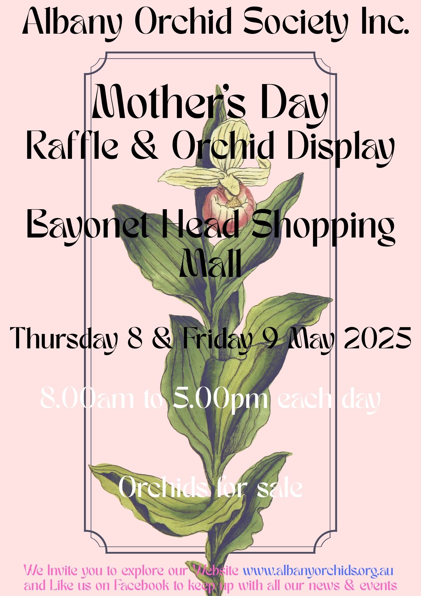 Albany Orchid Society Inc. - Mothjer's Day Raffle and Display