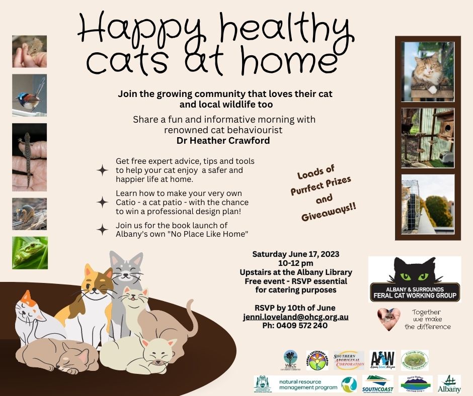 Happy, Healthy Cats at Home