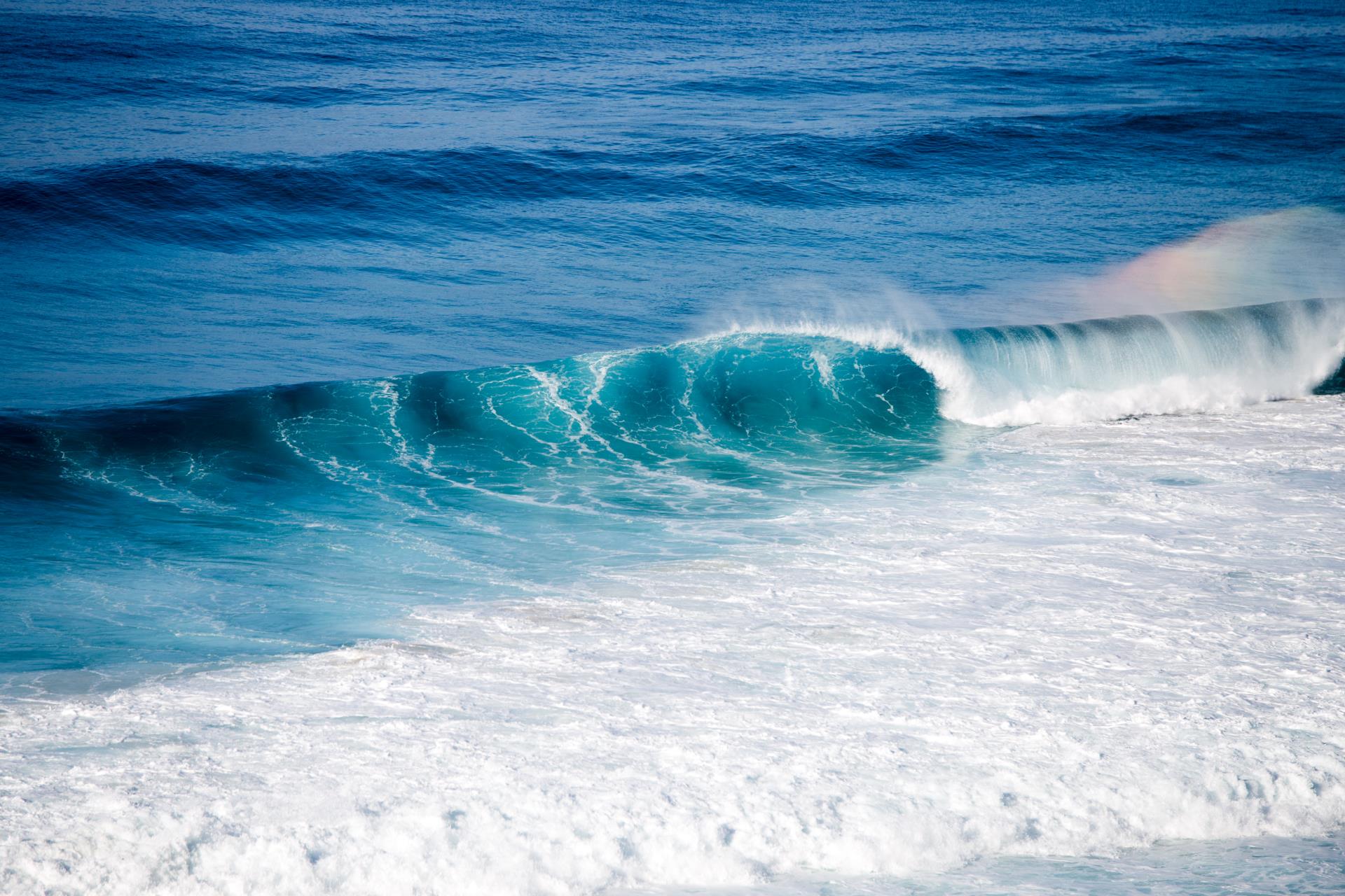 News Story - Albany Artificial Surf Reef seeks community input » City of  Albany